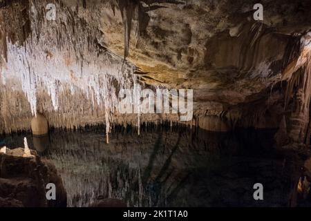 Drach cuevas, grotte del Drago, grotte di Hams, Maiorca, Spagna, metropolitana Foto Stock