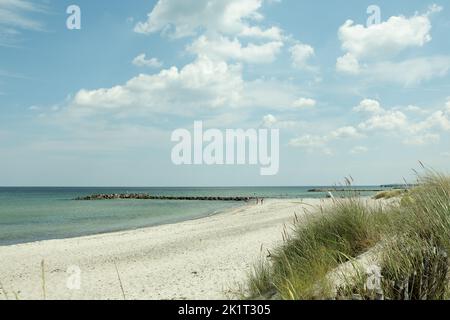 Una spiaggia sabbiosa del Mar Baltico in una giornata di sole Foto Stock