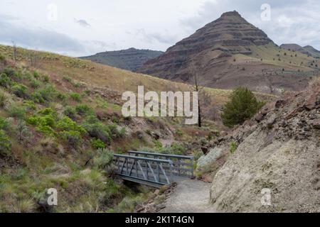 Un sentiero con un piccolo ponte nel John Day Fossil Beds, Painted Hills Central Oregon, Stati Uniti. Foto Stock