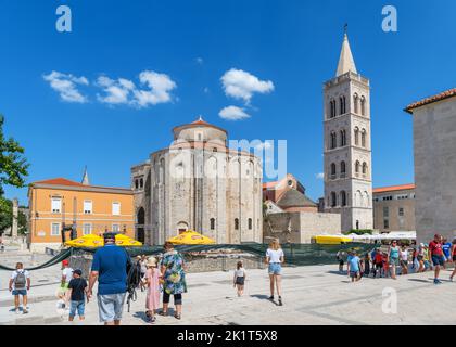 Il Foro Romano, la Cattedrale di Sant'Anastasia e la Chiesa di San Donato nel centro storico, Zara, Croazia Foto Stock