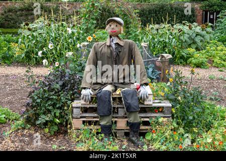 spaventapasseri da giardiniere seduti sulle casse del giardino tra fiori e piante Foto Stock