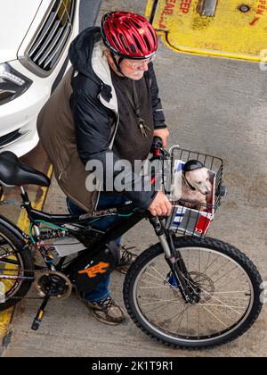 Passeggero ciclista con cane da compagnia nel cestino; su Mukilteo - Clinton Ferry; Puget Sound; Washington; USA Foto Stock