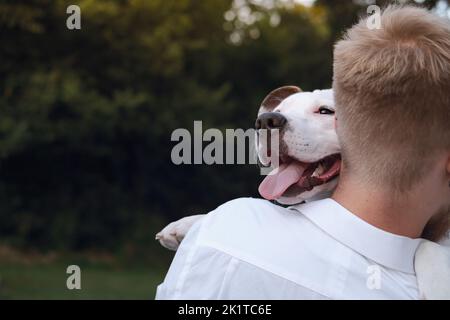 Il proprietario del cane abbraccia il suo giovane cane all'aperto. Uomo che interagisce con un cucciolo di terrier bianco dello staffordshire, felicità, gioia ed emozioni positive con gli animali domestici Foto Stock