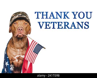 Grazie Veterans. Cucciolo marrone e bandiera americana Foto Stock