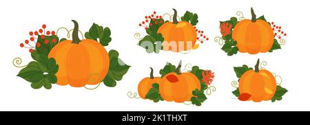 Zucca in stile cartoon. Autunno Pumpkins illustrazione vettoriale con foglie isolate su sfondo bianco. Zucche cartoon arancio per la decorazione autunnale Illustrazione Vettoriale