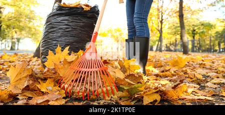 Donna che rastrellano foglie autunnali nel parco Foto Stock