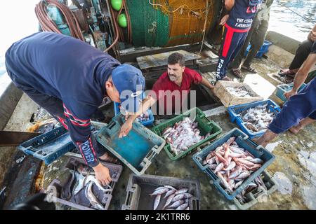 Gaza, Palestina. 20th Set, 2022. I pescatori palestinesi scaricano i loro pesci al porto di Gaza. Israele impedisce ancora l'esportazione di pesce dalla striscia di Gaza verso Israele e la Cisgiordania per motivi sconosciuti, secondo quanto riferito dal capo del sindacato dei pescatori palestinesi Nizar Ayyash. (Credit Image: © Ahmed Zakot/SOPA Images via ZUMA Press Wire) Foto Stock