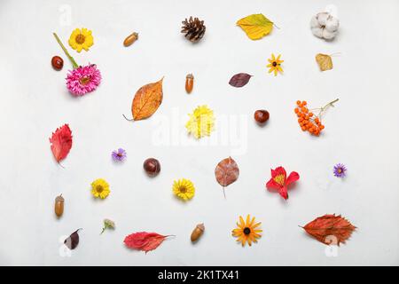 Fiori autunnali luminosi con foglie, castagne, bacche e ghiande su sfondo bianco Foto Stock