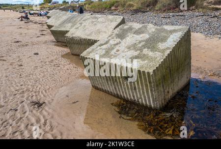 Grandi blocchi di cemento usati come difese anticarro della seconda guerra mondiale sulla spiaggia di Alnmouth Bay, Alnmouth, Northumberland, Inghilterra, Regno Unito. Foto Stock