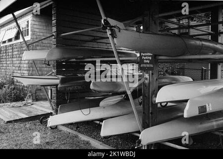 Kayak impilati su una cremagliera su un molo privato sul collo roccioso di Gloucester, Massachusetts. L'immagine è stata acquisita su pellicola analogica in bianco e nero. Foto Stock