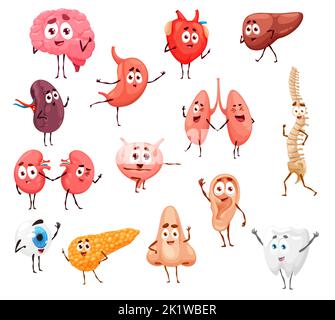Cartoon corpo umano organi interni personaggi, carino anatomia vettore design. Cuore divertente, stomaco, cervello e fegato, rene, pancreas, polmoni e vescica, milza, denti, bulbo oculare, colonna vertebrale e bulbo oculare Illustrazione Vettoriale