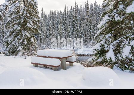 Un luogo picnic lungo la strada del lago Maligne in inverno, Jasper National Park, Alberta, Canada. Foto Stock