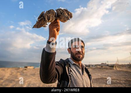 Gaza, Palestina. 20th Set, 2022. Un uomo palestinese tiene le quaglie sulle rive del Mar Mediterraneo a Khan Yunis, striscia di Gaza meridionale (Foto di Yousef Masoud/SOPA Images/Sipa USA) Credit: Sipa USA/Alamy Live News Foto Stock