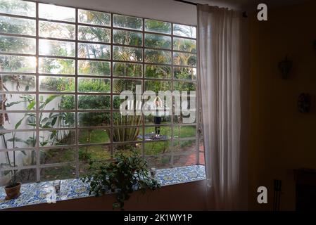 Donna pratica yoga nel cortile circondato da piante e alberi, catturati attraverso la finestra della casa con vibrazioni tropicali e palme Foto Stock