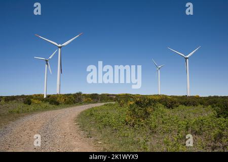 Due coppie di turbine eoliche nella centrale eolica di Cerca do Paul, nella zona di Paul da Serra, nel centro di Madeira Foto Stock