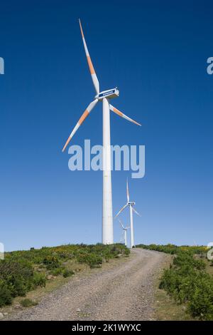 Linea di tre turbine eoliche Vesta presso la centrale eolica di Paul da Serra, nel centro di Madeira Foto Stock