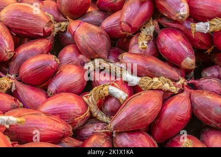 Inquadratura completa che mostra un sacco di cipolle rosse Foto Stock