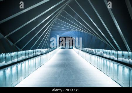 Dubai DNA Bridge - The Icy Walk Foto Stock