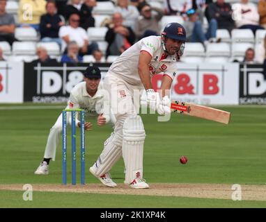 CHELMSFORD INGHILTERRA - SETTEMBRE 20 : Sir Alastair Cook di Essex durante LV= COUNTY CHAMPIONSHIP - DIVISIONE UNO giorno di 4 partita tra Essex CCC di nuovo Foto Stock