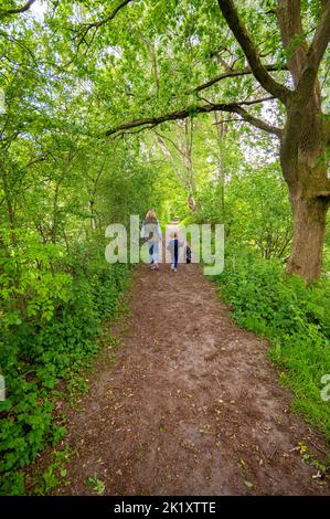 Madre e figlia camminando cane chiedendo paese percorso Foto Stock