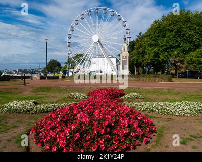 Vista sui Princess Gardens fino alla ruota inglese Riviera Torquay Devon Inghilterra Regno Unito Foto Stock