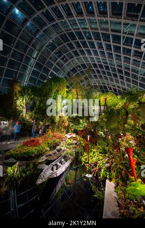 Vista notturna dello schermo Lost World nel Cloud Forest Conservatory of the Gardens of the Bay, Marina Bay, Singapore Foto Stock