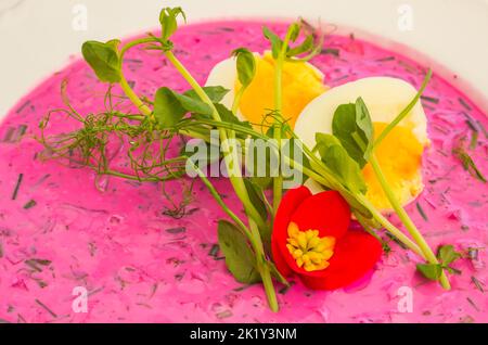 Tradizionale zuppa fredda di barbabietole lituane, servita con uova sode e aneto Foto Stock