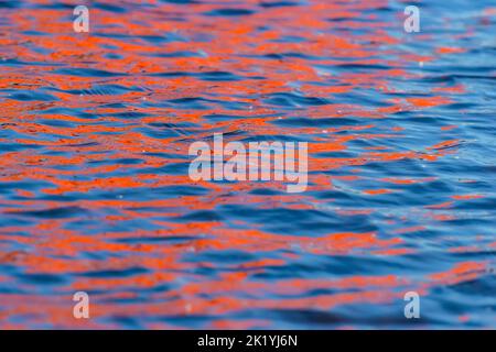 Riflessioni astratte sull'acqua del fiume. Foto Stock