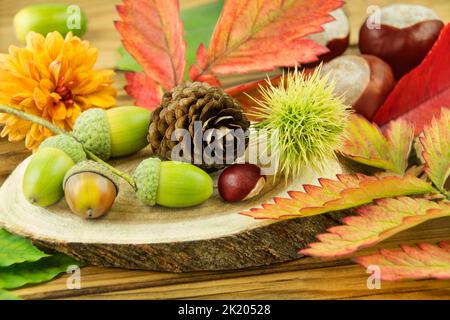 Decorazione autunnale e naturale con castagne, foglie, maroni e fiori su sfondo ligneo Foto Stock