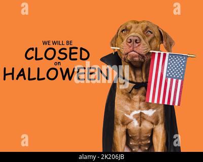 Cartello con l'iscrizione saremo chiusi ad Halloween Foto Stock