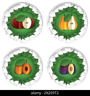 Carta vettoriale mela pera tagliata albicocca susina in cornice Illustrazione Vettoriale