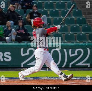 Regensburg, Baviera, Germania. 21st Set, 2022. Spagna Batter JESUS USTARIZ oscilla in un campo nel qualificatore World Baseball Classic nella Armin Wolf Baseball Arena di Regensburg, Germania. (Credit Image: © Kai Dambach/ZUMA Press Wire) Foto Stock