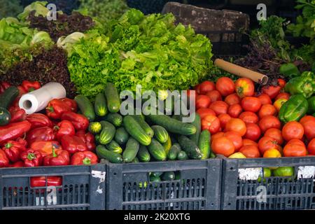 Verdure fresche con prodotti freschi sul mercato. Prodotti vegani healty. Mercado Apúlia. I prodotti del ristorante servono per preparare cibi freschi e aromatizzati. Foto Stock