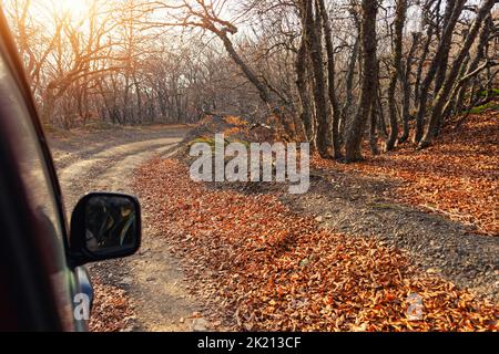 Vista laterale dello specchietto posteriore di SUV auto guidare su bella sterrato foresta di ghiaia strada non asfaltata in autunno fogliame e luce solare calda attraverso i boschi Foto Stock