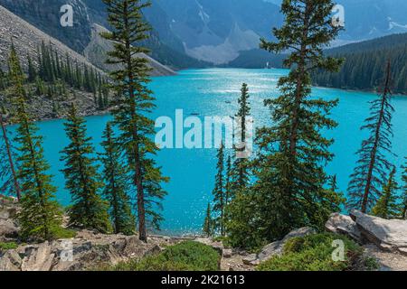 Lago Moraine con pini in persone che fanno kayak in estate, Banff National Park, Alberta, Canada. Foto Stock