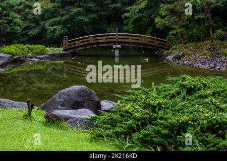 Il parco centrale di Tochigi è stato progettato dall'architetto paesaggista Kunie Ito che ha anche sviluppato il parco Kitanomaru e il parco nazionale Showa Memorial a Tokyo. La e Foto Stock