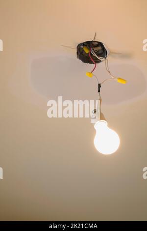 Lampadina a incandescenza che penzola dal pannello di cartongesso del soffitto in fase di riparazione all'interno della casa. Foto Stock