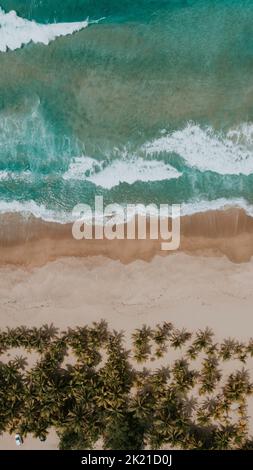 Una foto aerea di una spiaggia vuota con onde schiumose - ottima per gli sfondi Foto Stock