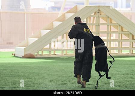 Base aerea di al Udeid, Qatar. 12th Set, 2022. Tomi, un cane militare da lavoro con lo Squadrone delle forze di sicurezza 379th, si aggancia al ponte dell'aeronautica statunitense. Il generale Jeffrey Nelson, 379 comandante dell'ala di spedizione aerea durante una dimostrazione K-9 Septembert. 12, 2022 presso la base aerea di al Udeid, Qatar. Nelson e altri dirigenti dell'AEW del 379th hanno partecipato come obiettivi durante la dimostrazione. Credit: US National Guard/ZUMA Press Wire Service/ZUMAPRESS.com/Alamy Live News Foto Stock