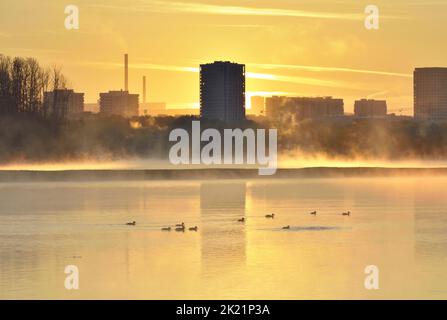 Dawn sulle rive dell'OB. Anatre sull'acqua del fiume, le case si riflettono nell'acqua nella nebbia mattutina. Novosibirsk, Siberia, Russia, 2022 Foto Stock