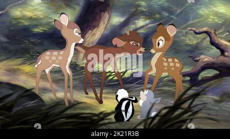 FALINE, RONNO, fiore Skunk, Thumper, Bambi, BAMBI II, 2006 Foto Stock