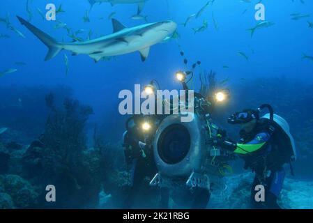 HOWARD HALL, BOB CRANSTON, CARIBBEAN REEF SHARK, DEEP SEA, 2006 Foto Stock