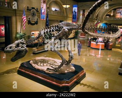 Scheletro di dinosauro, Ben Stiller, UNA NOTTE AL MUSEO, 2006 Foto Stock