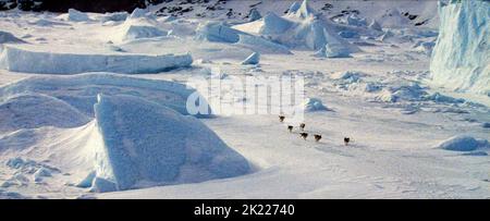 CANI HUSKIE CORRONO ATTRAVERSO L'ANTARTICO LANDSACPE, OTTO SOTTO, 2006 Foto Stock