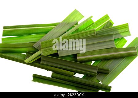 La citrato di limongrass è una delle varie specie di erba, il citrato di Cymbopogon, che ha un gusto ed un aroma di limone-come ed è usata nella cottura, per il tè, e. Foto Stock
