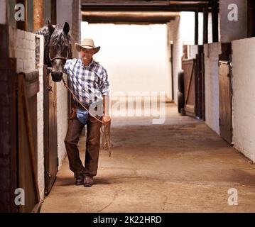 Il suo tempo di andare per un giro. Una mano di ranch di cura che si prende cura di un cavallo nella stalla. Foto Stock