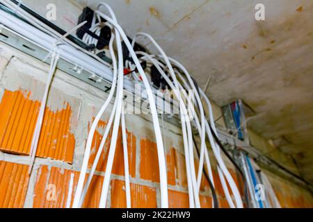 I cavi sono appesi al soffitto dell'edificio in costruzione, lavori in corso. Posizionamento di fili e cavi elettrici. Foto Stock