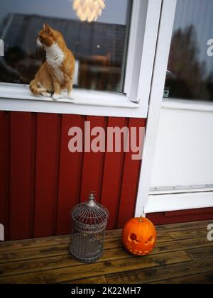 Tradizionale casa svedese dekoration zucca di Halloween Foto Stock