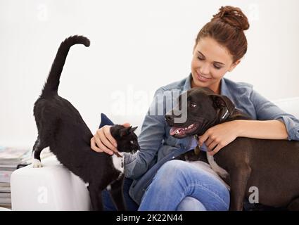 Indovinate chi governa il roost in quella casa. Una bella giovane donna che si rilassa sul divano con il suo cane e gatto. Foto Stock