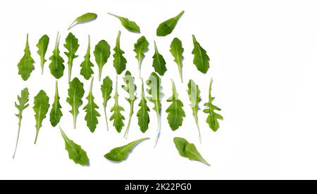 Foglie isolate di piante aromatiche culinarie utilizzate in cucina chiamato rucola su sfondo bianco copia spazio Foto Stock